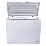 Chest Freezer 300L